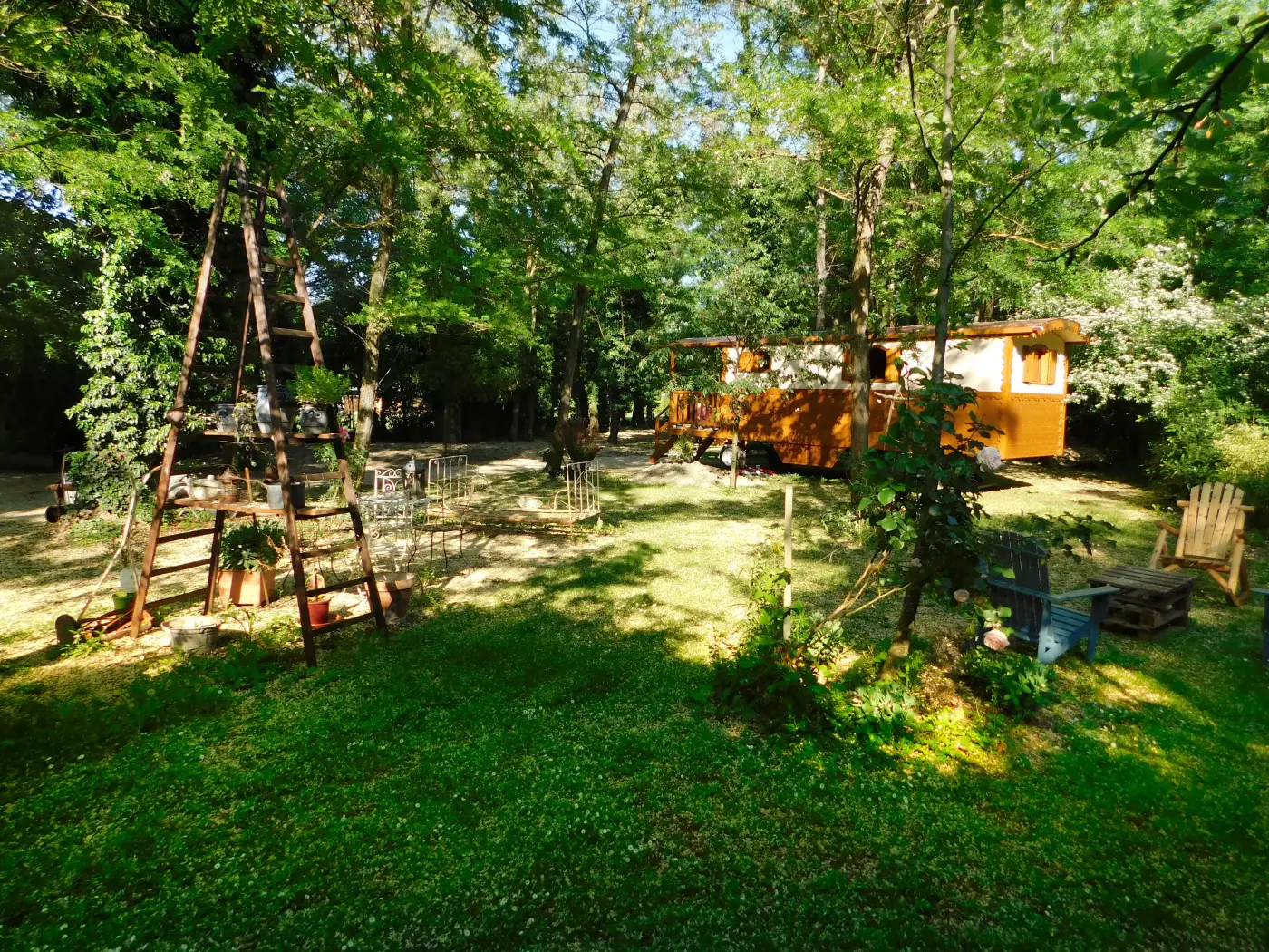 The wooded garden, the roulotte at the back among the trees