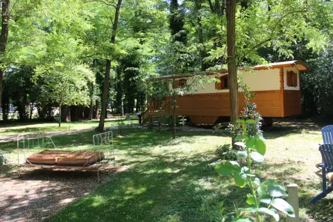 The Environment — 1